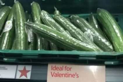 Cucumbers with "Ideal for Valentines" sign underneath